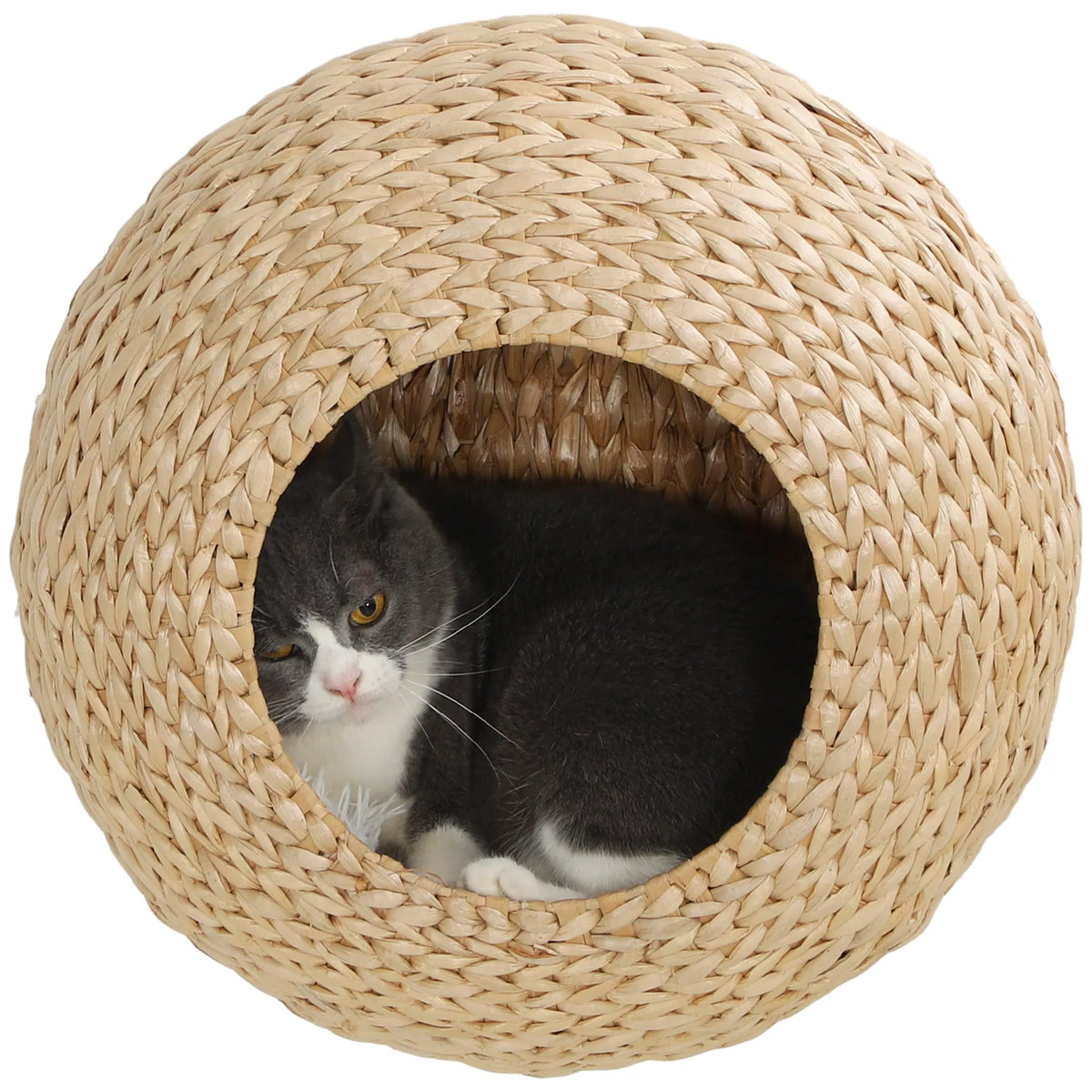 Cat Wall Shelf with Washable Cushion Wall Mounted Cat Condo Furniture for - Image 5