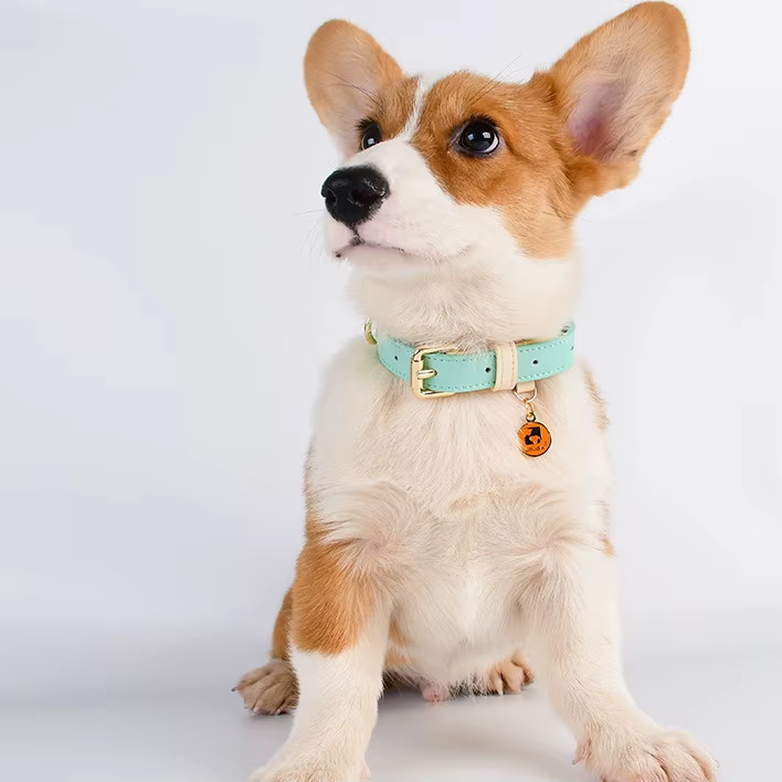 S M L Dog Collar Leather Dog Collar For Small Medium And Large Dogs Basic - Image 4