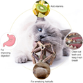 Natural Silvervine Stick Catnip Ball Bell Ball Cat Toys For Indoor Cats