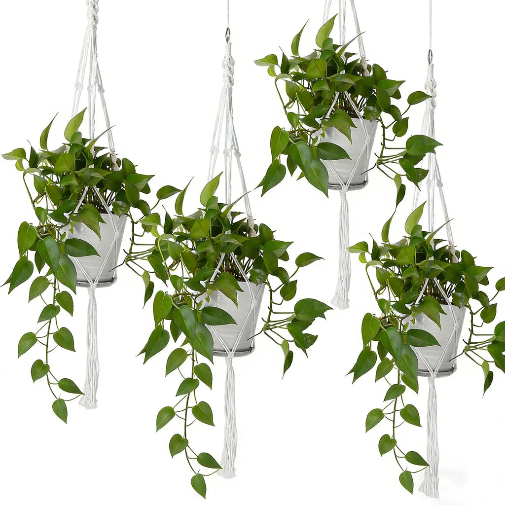4 PCS Heavy Duty Hanging Plant Holder Natural Cotton Rope Planter Basket with - Image 2