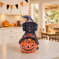 Halloween Black Labrador Retriever Witch Puppy Figurine Cute Dog Holding