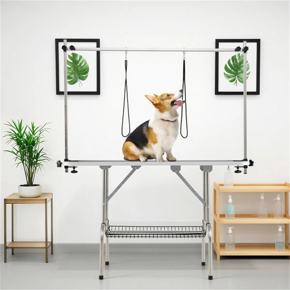 Foldable Pet Grooming Table with Adjustable H shaped Arms 330 LBS Capacity for - Image 5