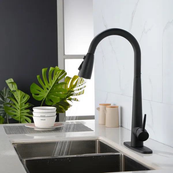 Kitchen Faucets with Pull Down Sprayer; Kitchen Sink Faucet with Pull Out - Image 4