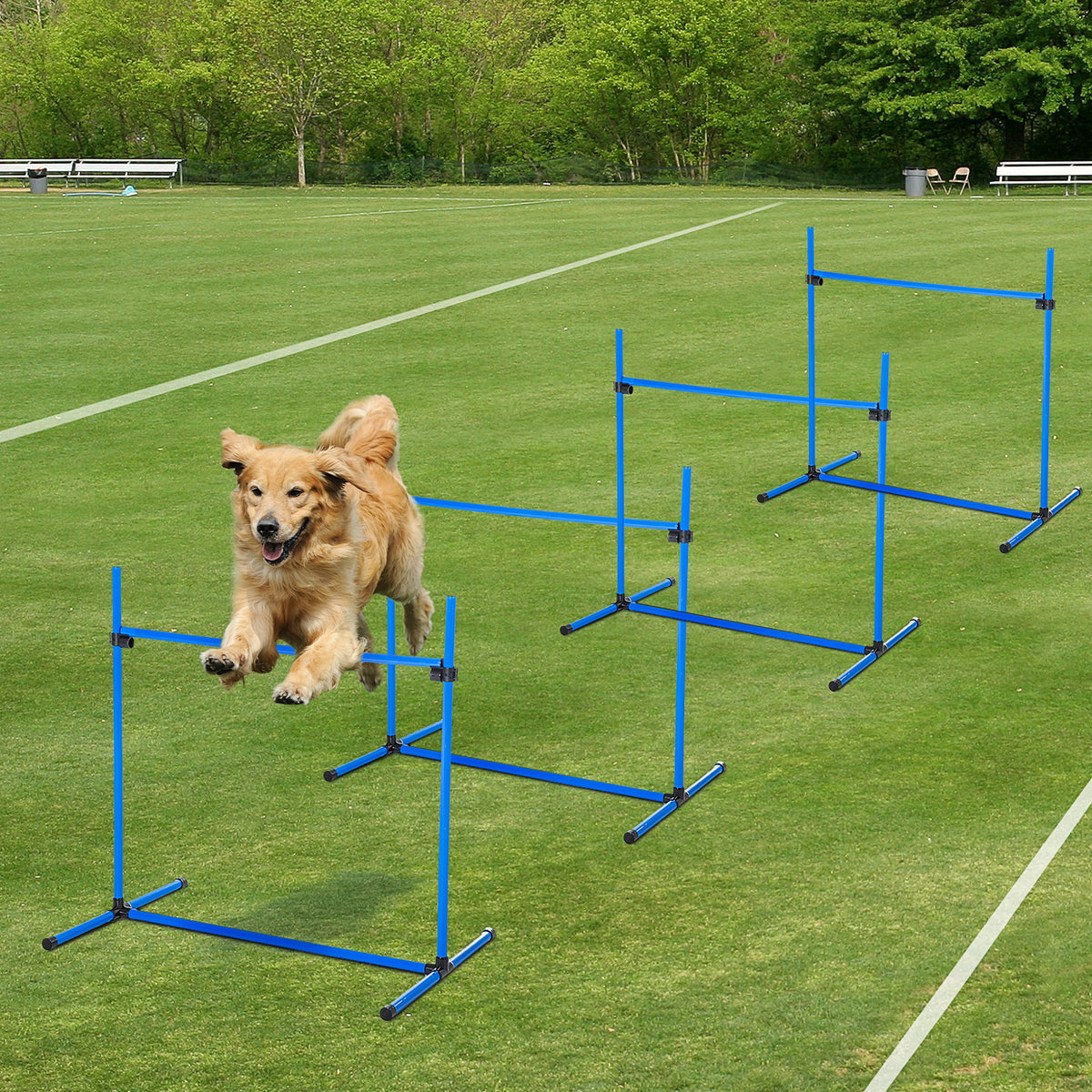 4 Piece Dog Agility Starter Kit with Adjustable Height Jump Bars Included - Image 3