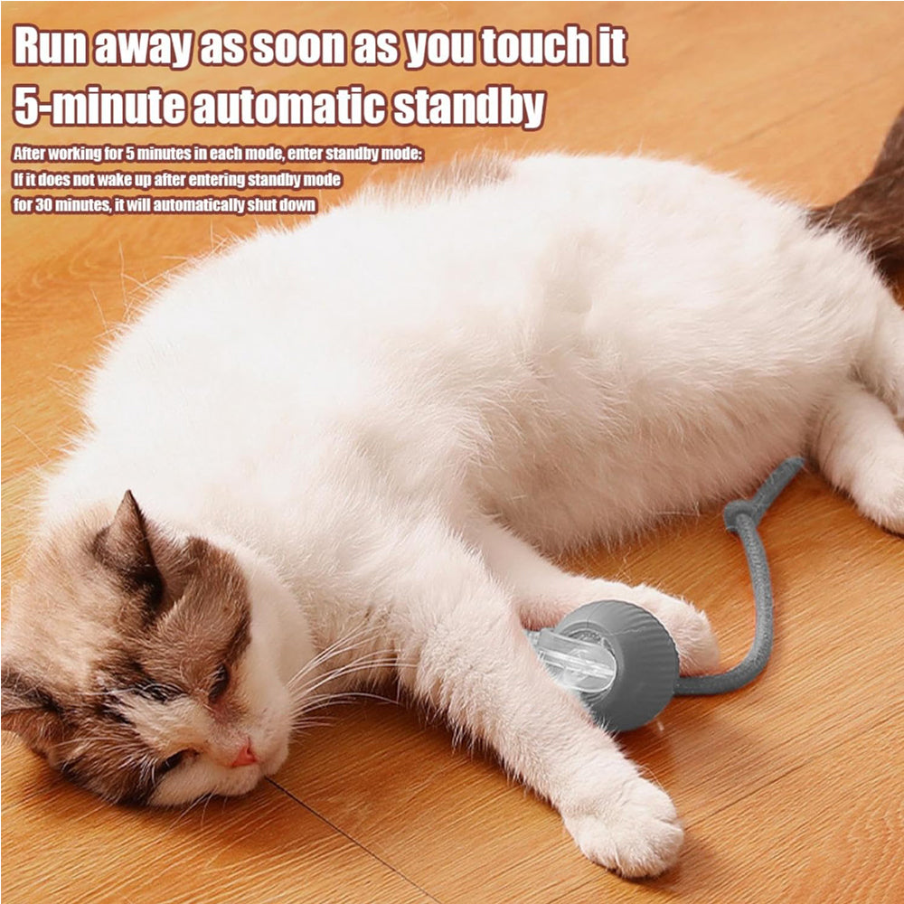 Electric Dog Cat Ball Toy Indoor Large And Small Cat Dog Interactive - Image 5