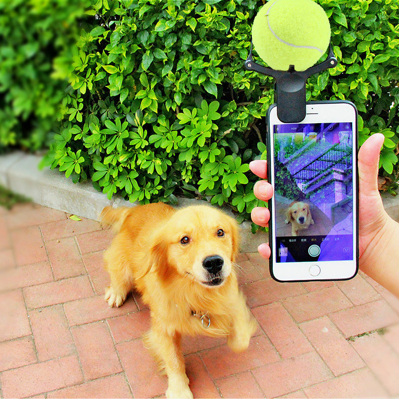 Pet photo props toy pet photo selfie artifact funny dog camera phone clip - Image 5