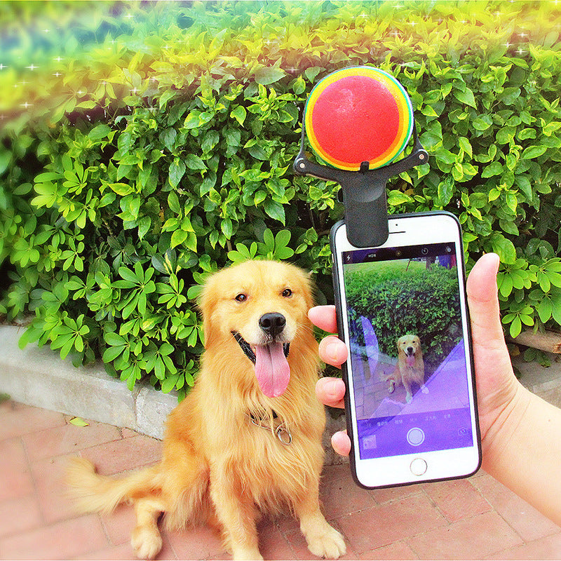 Pet photo props toy pet photo selfie artifact funny dog camera phone clip - Image 2