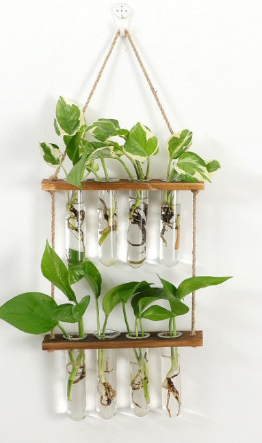 wall hanging terrarium flower glass main view