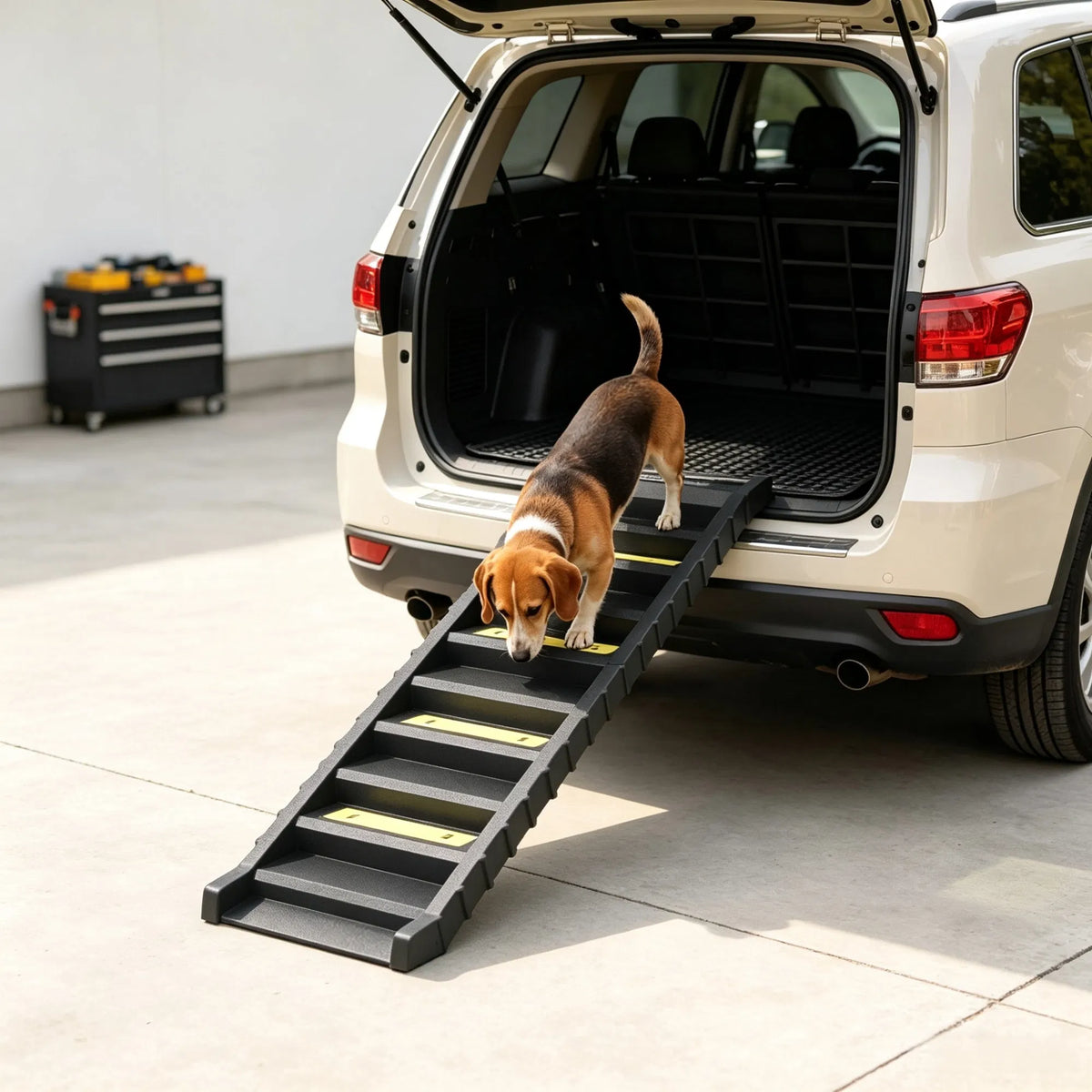 black folding pet car ramp packaging and components