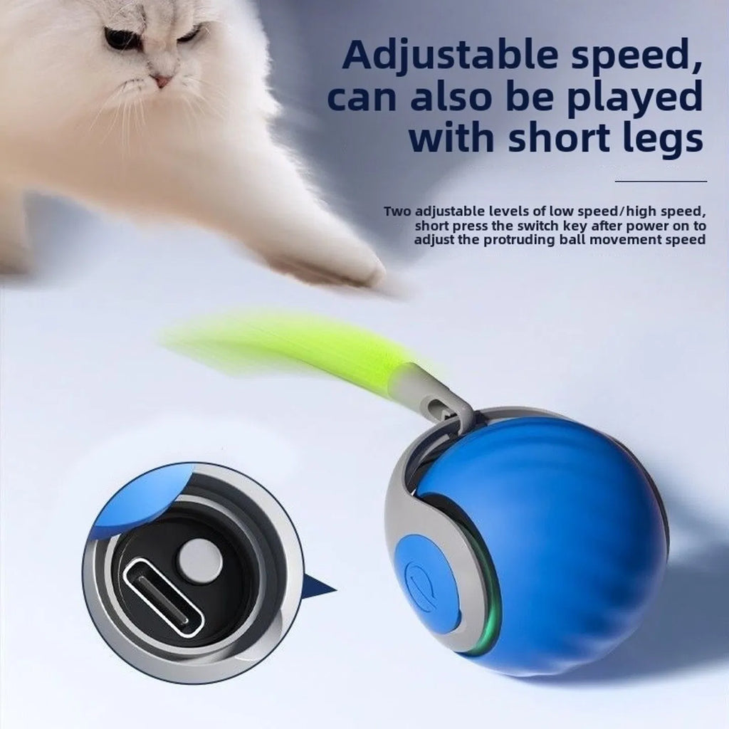 Cat Toy Interactive Cat Ball CatToys for Indoor Cats Adjustable Sports Rolling - Image 3