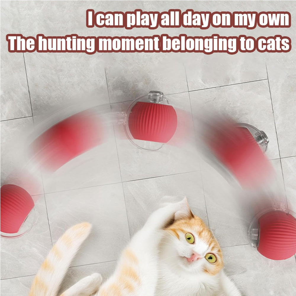 Electric Dog Cat Ball Toy Indoor Large And Small Cat Dog Interactive - Image 4