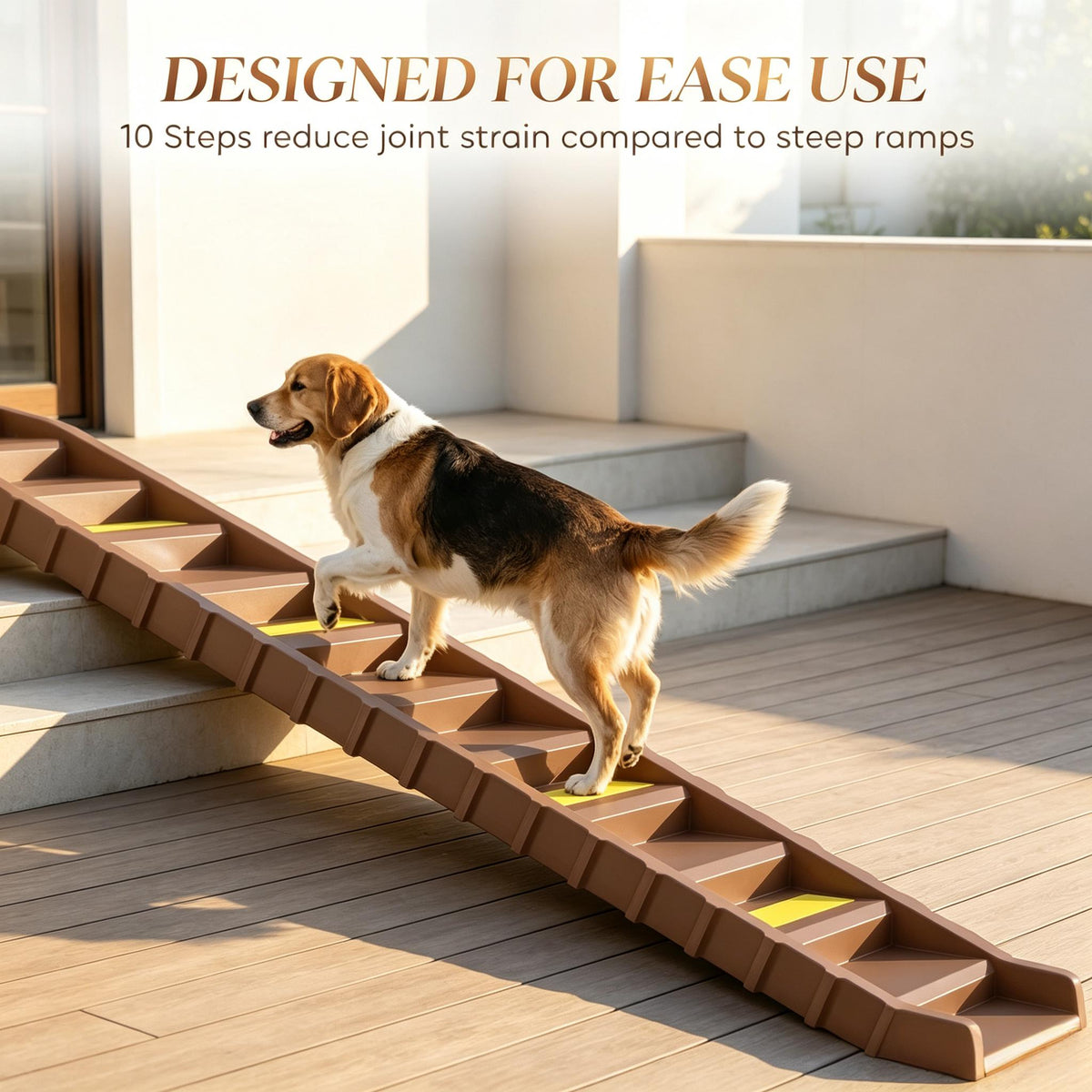 foldable dog stairs ramp for dimensions and features