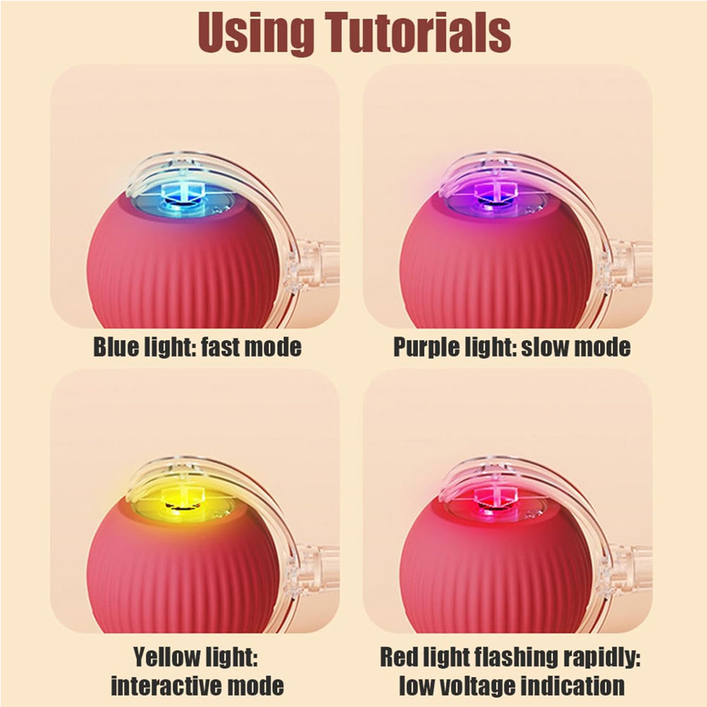 Electric Dog Cat Ball Toy Indoor Large And Small Cat Dog Interactive - Image 5