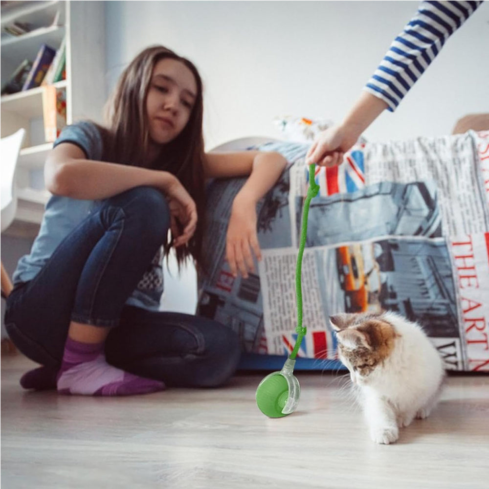 Electric Dog Cat Ball Toy Indoor Large And Small Cat Dog Interactive - Image 3