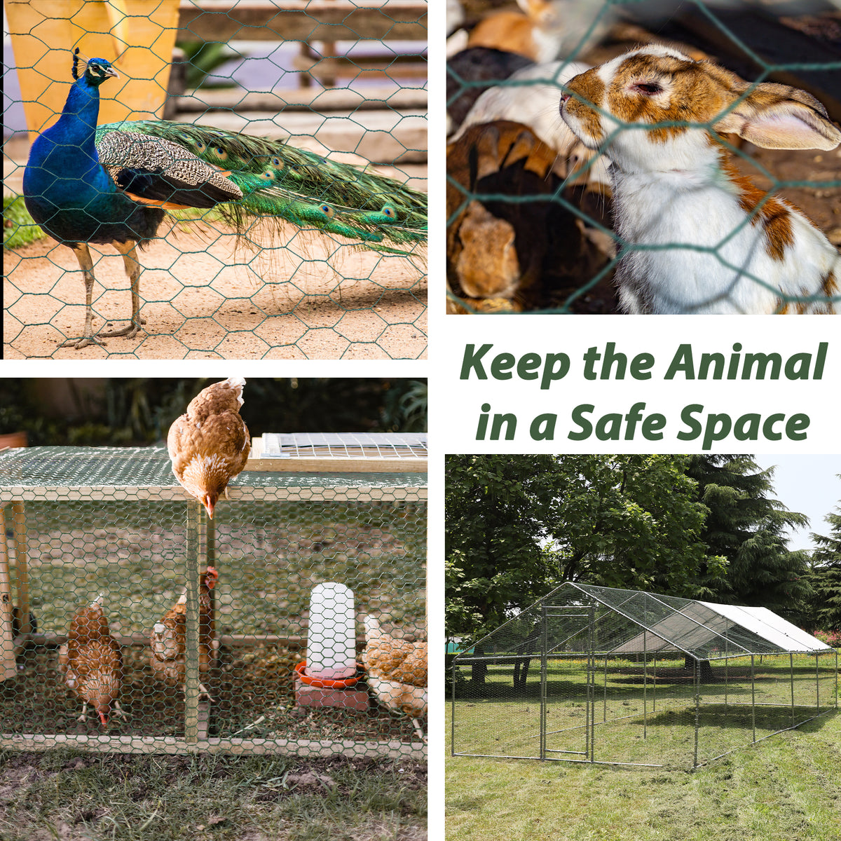 Large Size Galvanized Hexagonal Floral Green Chicken Wire Outdoor Anti Rust - Image 2