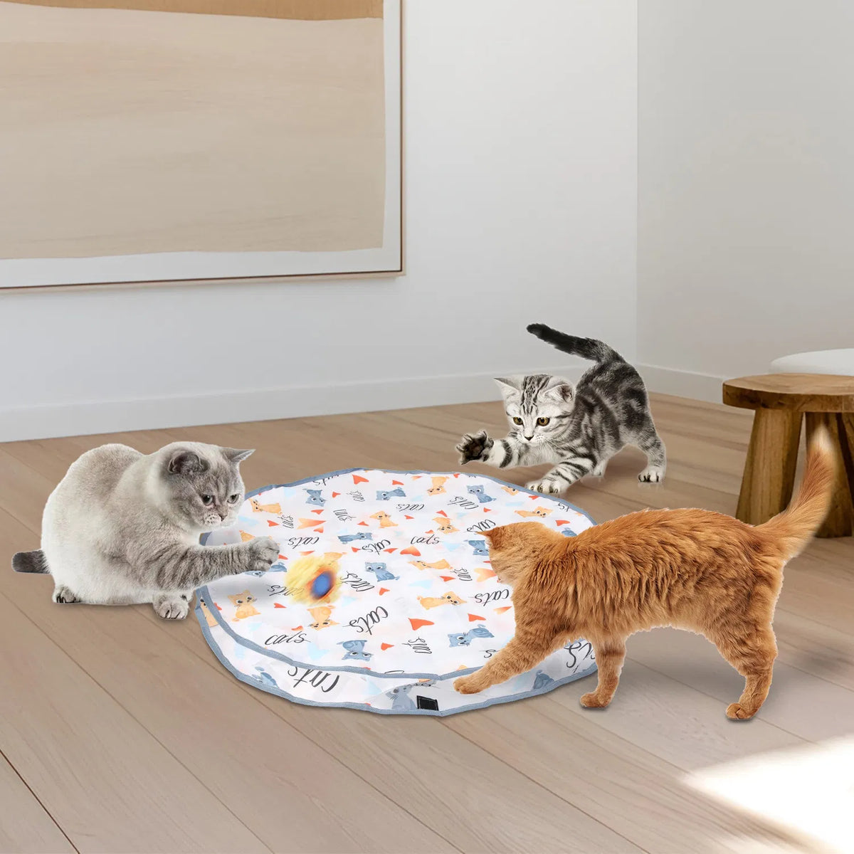 Cat Toys Ball Fast Rolling in Pouch Rechargeable Motion Activated Interactive - Image 5