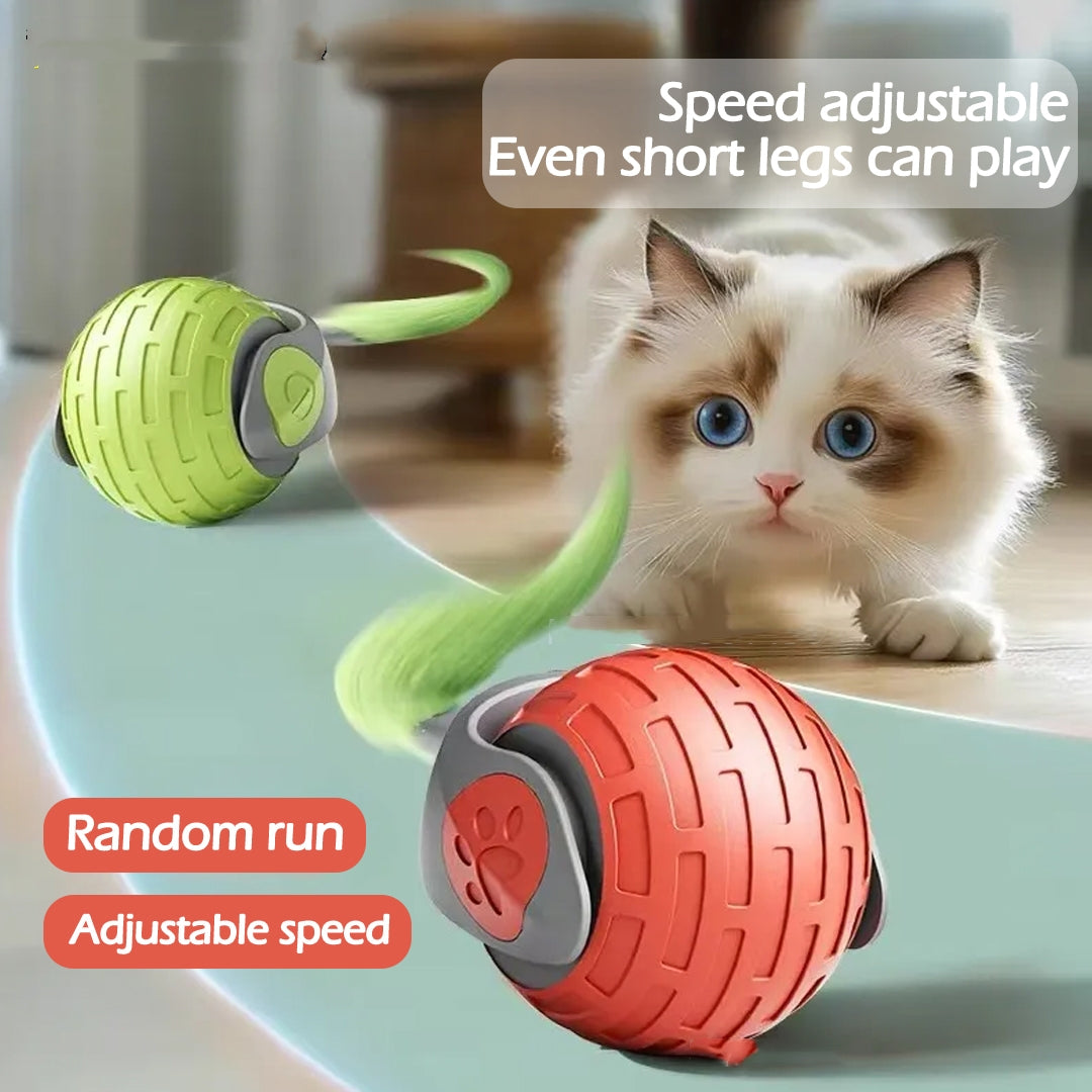 New Interactive Cat Toys Ball Auto Electric Rolling Ball Toys For Cat Kitty