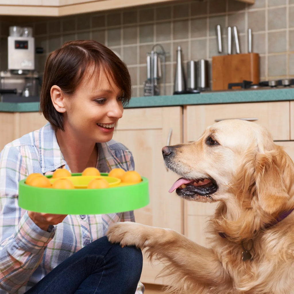 Dog Puzzle Food Feeder Slow Feeding Bowl Interactive Toy Dog Treat Dispensing Toy - Image 5