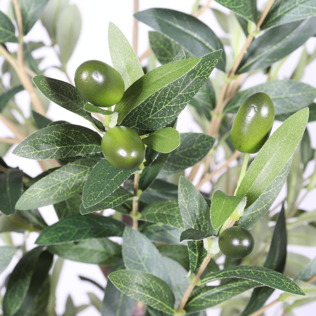 6FT Artificial Olive Tree in Black Plastic Pot 1pc/set - Image 4