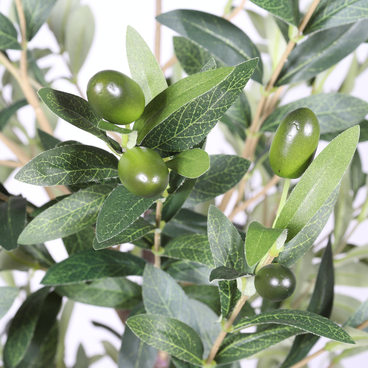 6FT Artificial Olive Tree in Black Plastic Pot 1pc/set - Image 4