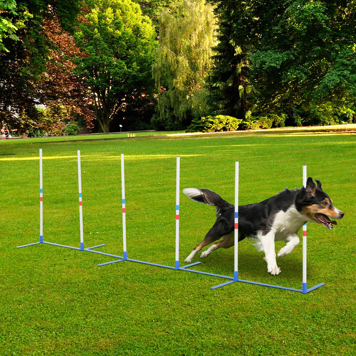 Dog Agility Equipment Dog Weave Pole Set Agility Starter Kit Pet Outdoor - Image 4