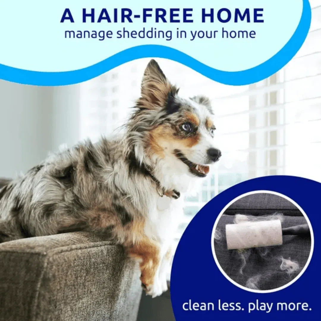 Blue pat your pet hair removal dog brush for hair removal indoor cats use cat - Image 2