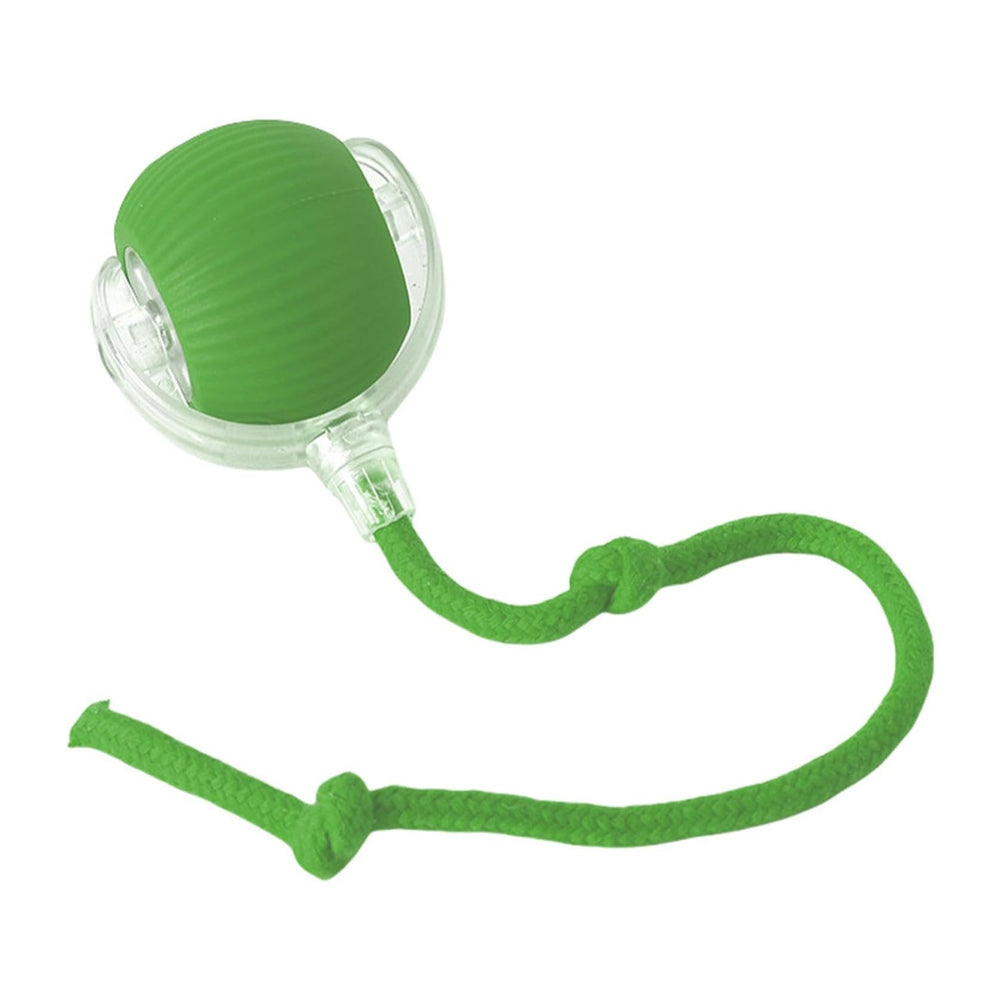 Electric Dog Cat Ball Toy Indoor Large And Small Cat Dog Interactive - Image 3