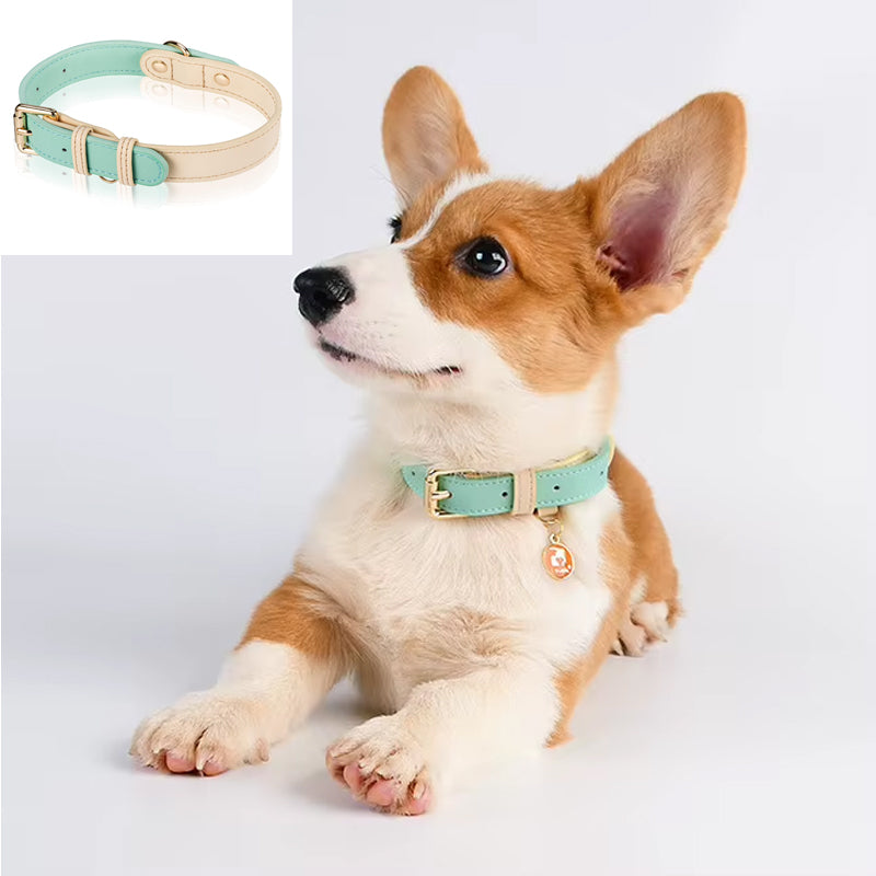 S M L Dog Collar Leather Dog Collar For Small Medium And Large Dogs Basic - Image 5