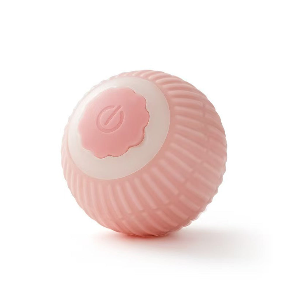 Electric Dog Cat Ball Toy Indoor Large And Small Cat Dog Interactive - Image 3