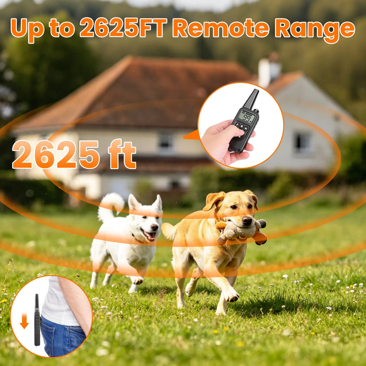 Dog Training Collar with Remote Rechargeable Dog Training Collar IP68 - Image 4