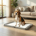 Pee Pad Holder Foldable Dog Litter Box with 3 Disposable Pads 33.9" x 24.4" Gray