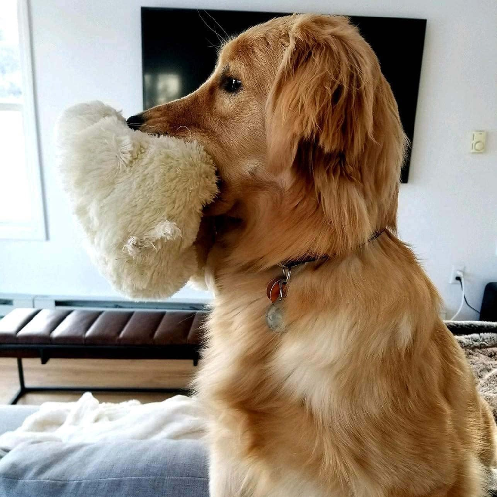 Heartbeat Dog Toy For Puppies Real Feel Heartbeat Calming Sleep Aid And Crate - Image 5