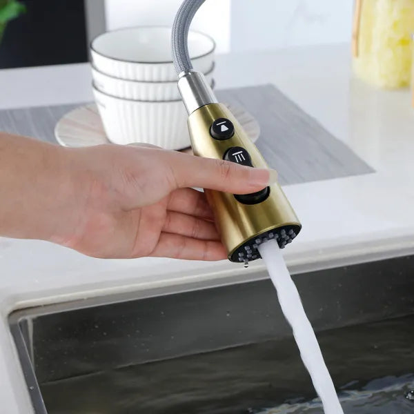 Gold Kitchen Faucets with Pull Down Sprayer; Kitchen Sink Faucet with Pull Out - Image 3