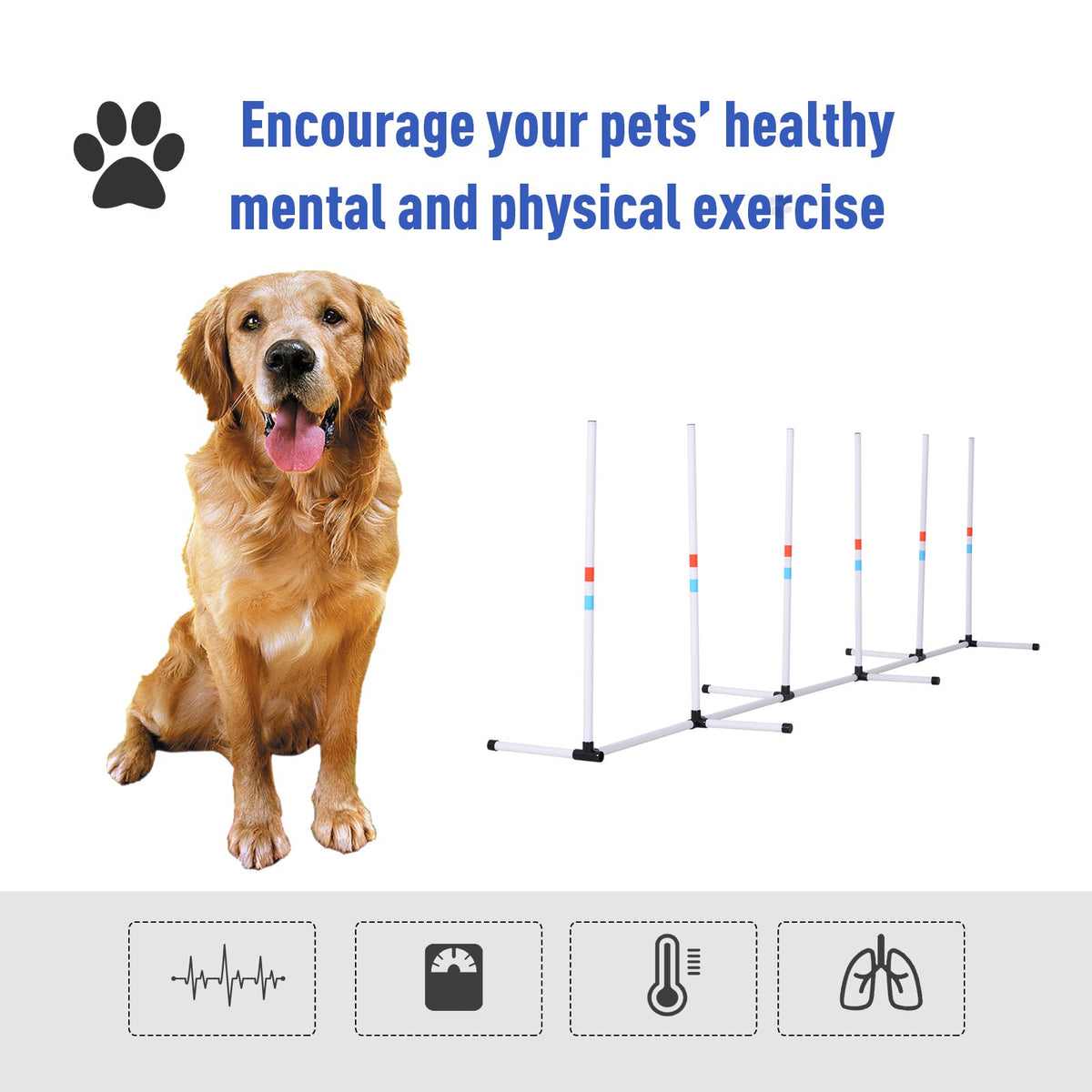 Sturdy Dog Weaves Poles Pet Speed and Agility Equipment Dogs Obstacle Outdoor