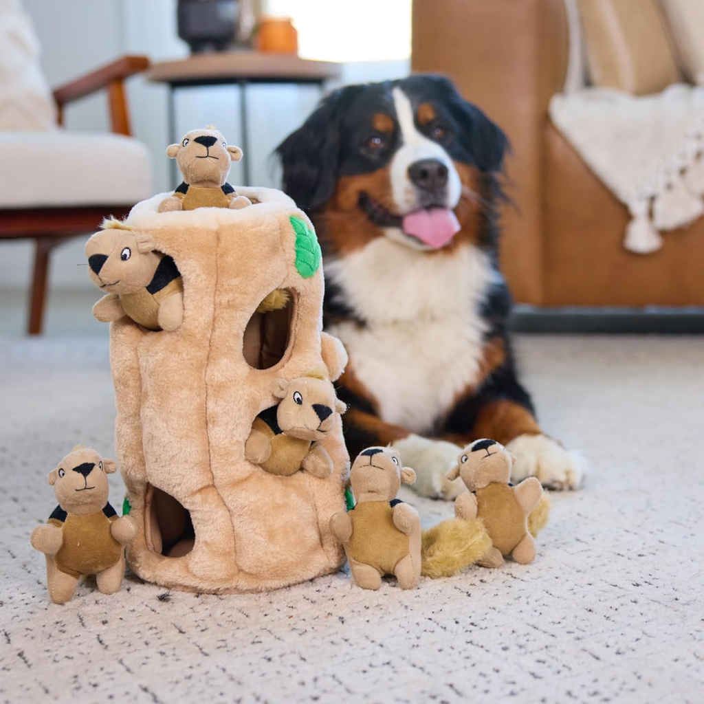 Squirrel Dog Toy Interactive 2in1 Plush Puzzle With 6 Squeaky Removable Squirrels
