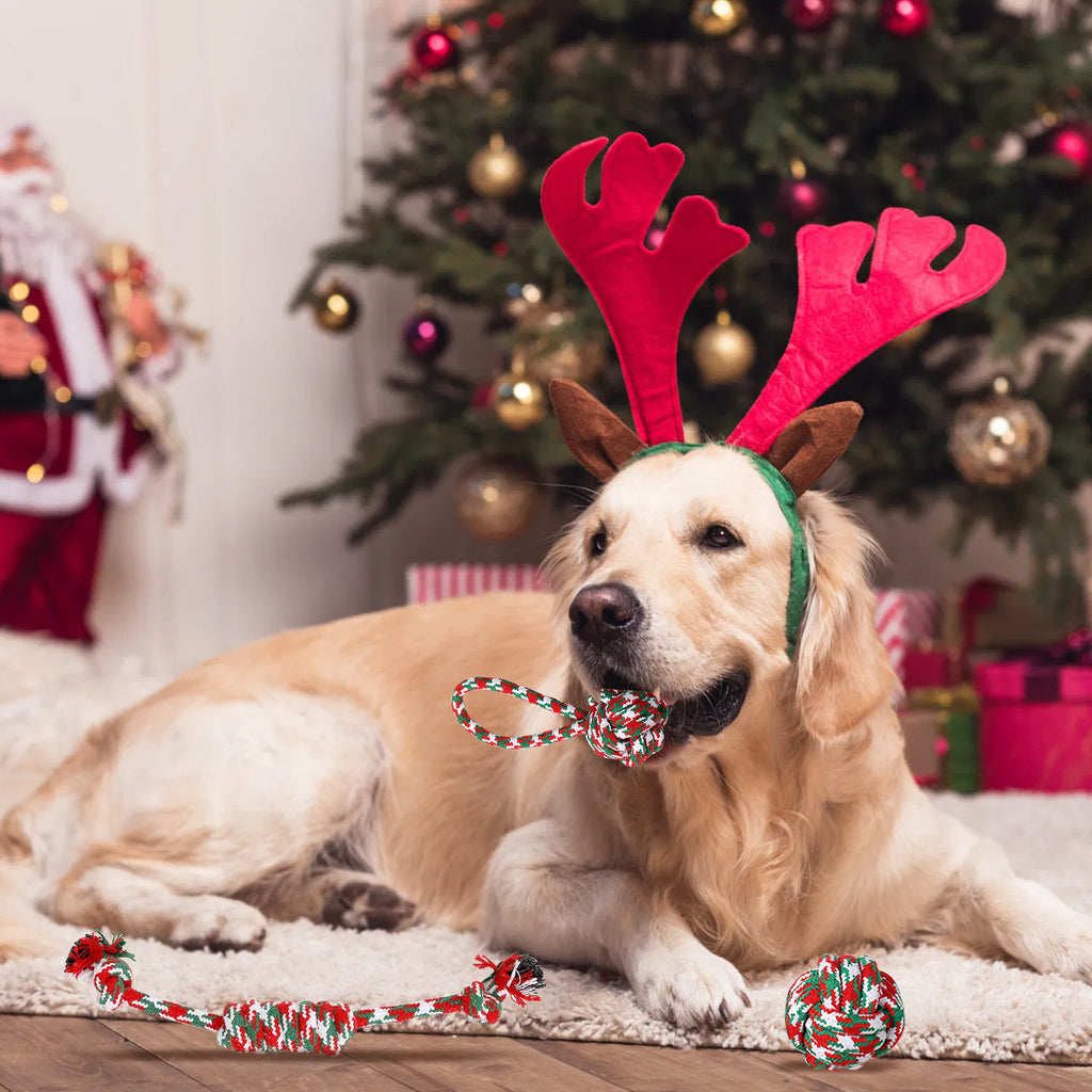5Pcs Christmas Dog Rope Chew Toys Dog Interactive Toys Set for Puppy Small - Image 2