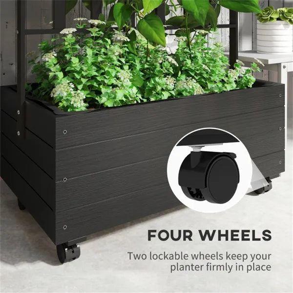flower stand plant dimensions and features