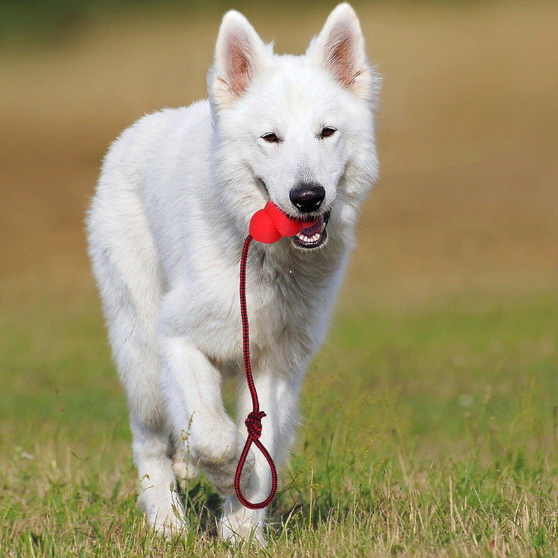Pet Toy Natural Rubber Rope Hoist - Image 5
