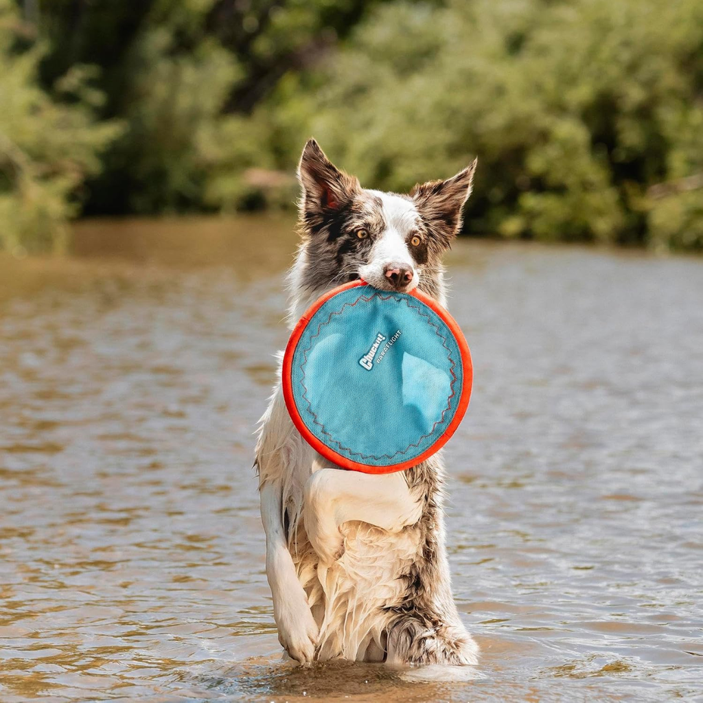 Paraflight Flying Disc Dog Toy Water Floating Flyer Durable Nylon Construction - Image 5