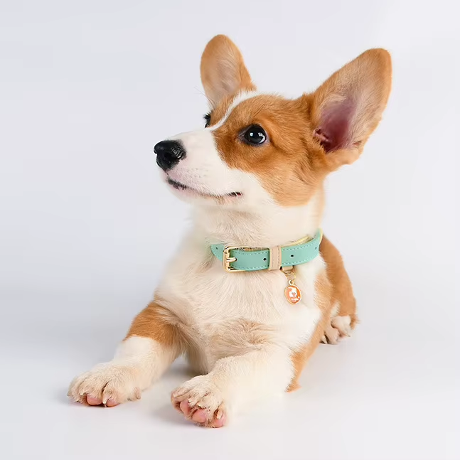 S M L Dog Collar Leather Dog Collar For Small Medium And Large Dogs Basic - Image 2