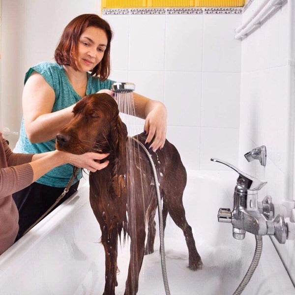 3m/118" Shower Head Hose Handheld Bathroom Flexible Tube(Not included Shower Head) - Image 2