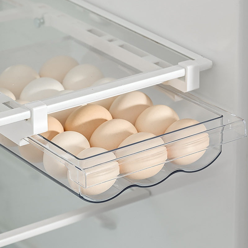 refrigerator drawer style transparent egg in use lifestyle