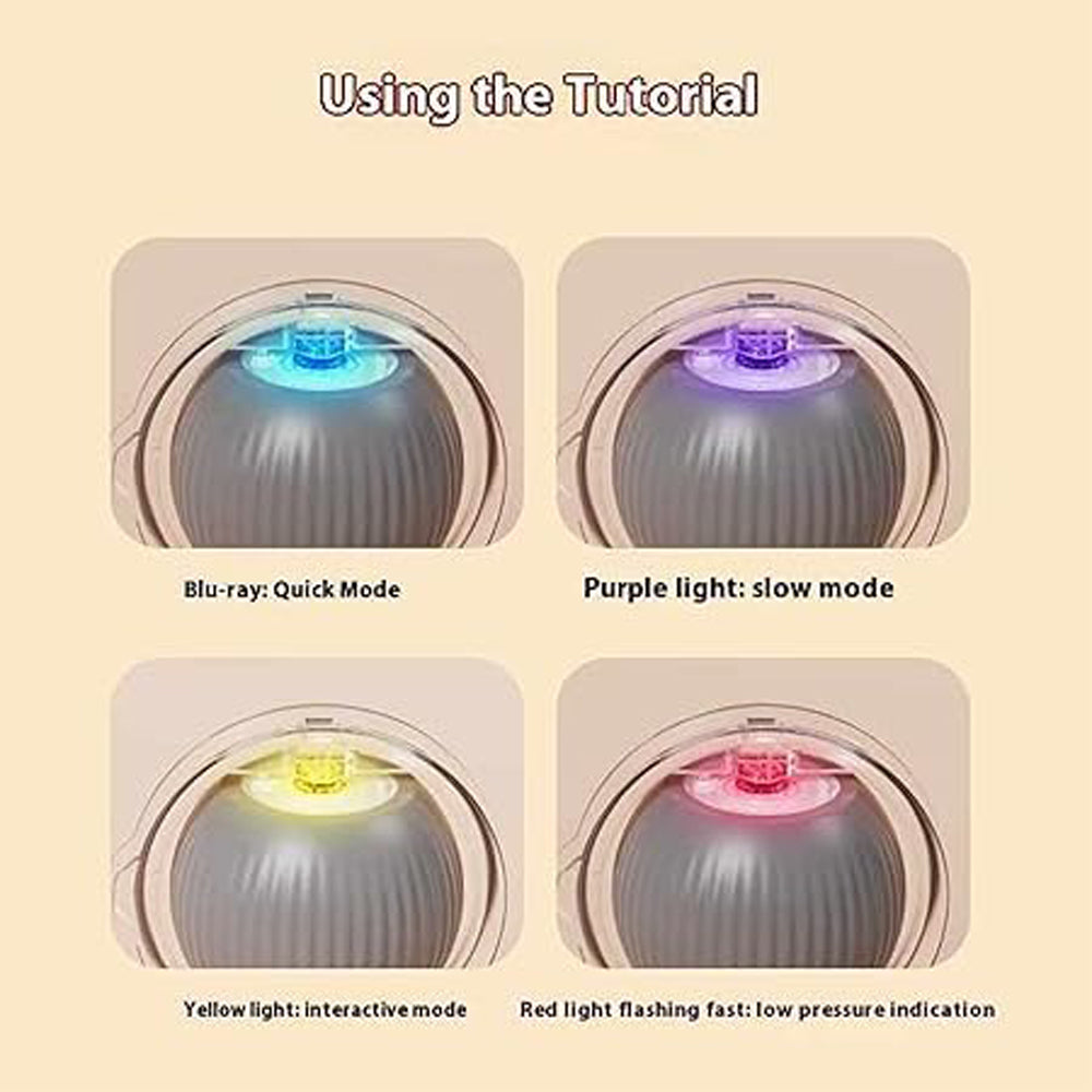Electric Dog Cat Ball Toy Indoor Large And Small Cat Dog Interactive - Image 4