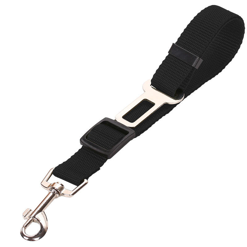 seat belts dogs car pet main view
