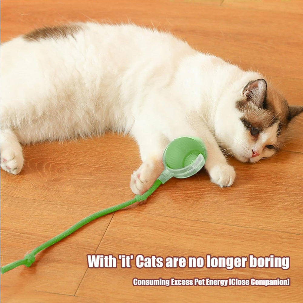 Electric Dog Cat Ball Toy Indoor Large And Small Cat Dog Interactive - Image 4