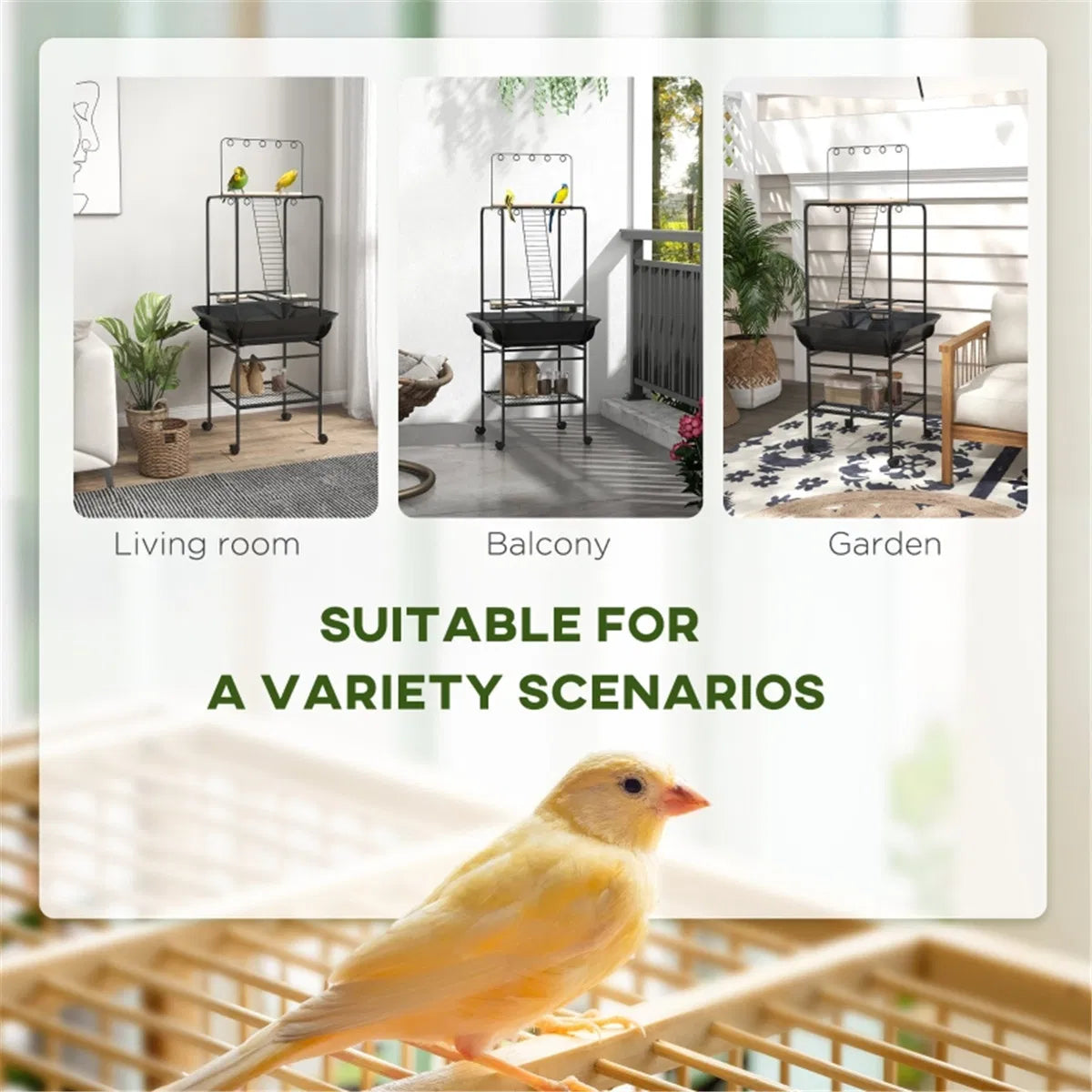 Bird Stand /Parrot Perch ( Amazon Shipping)(Prohibited by WalMart) - Image 2
