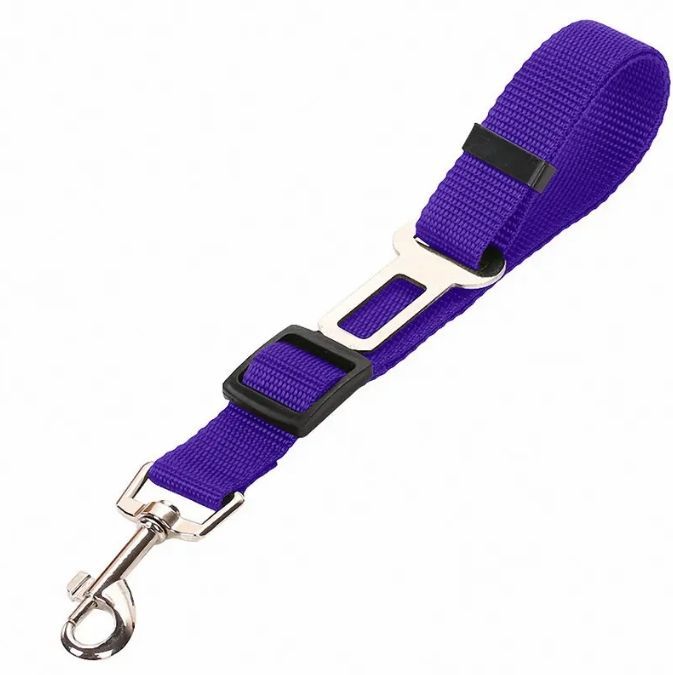 seat belts dogs car pet detail and structure