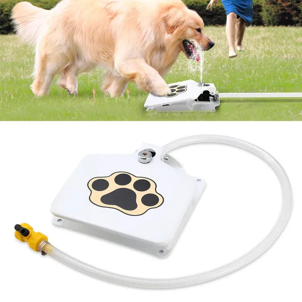 dog water fountain outdoor pet main view