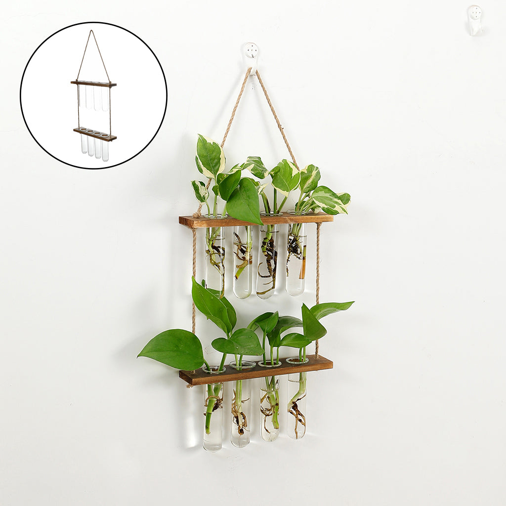 wall hanging terrarium flower glass detail and structure