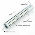 2PCS 3 in1 1mw USB Rechargeable Pet Toy Pen Flashlight Red laser Beam UV Light